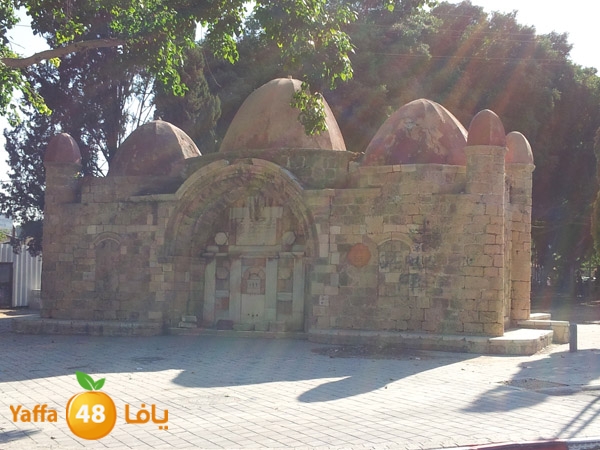 abonaboot923 (2).jpg